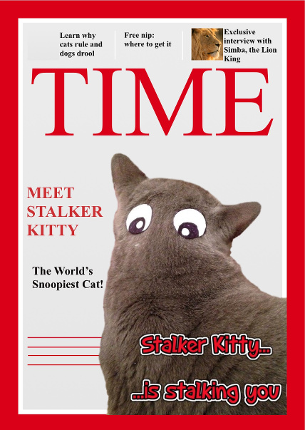 Stalker Kitty